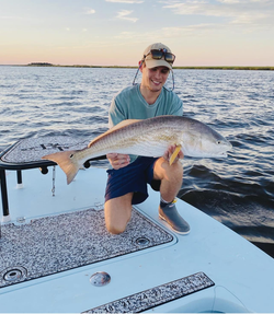 Redfish hotspot in Georgia 